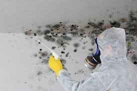 Biohazard Mold Removal